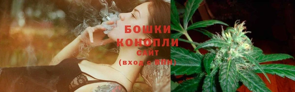 сатива Абдулино