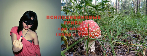 сатива Абдулино